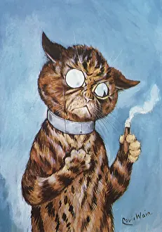 Frowns: Tabby's Cigar