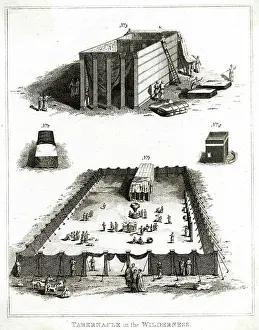 Promised: Tabernacle in the Wilderness