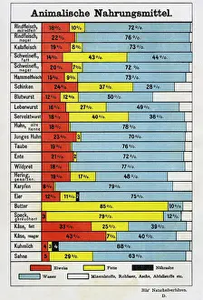 Nutritional: Table with components of different animal foods, 1902