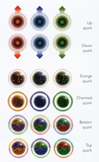 Charmed: Table of Quarks