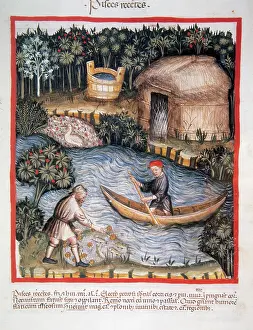 Handbook: Tacuinum Sanitatis. 14th century. Medieval handbook of healt