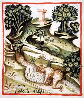 Aqua: Tacuinum Sanitatis, Aqua aliminoxa