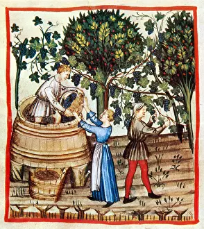 Hygiene: Tacuinum Sanitatis, Autumn