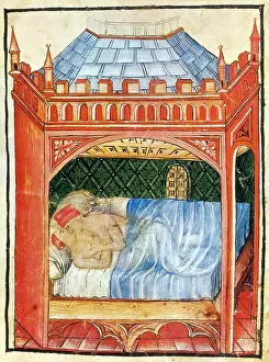 Valentines: Tacuinum Sanitatis, Coitus