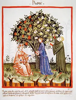 Handbook: Tacuinum Sanitatis. Late 14th century. Women picking roses f