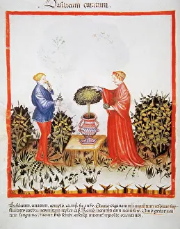 Handbook: Tacuinum Sanitatis. Late 14th century. Marriage picking a va