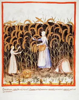 Handbook: Tacuinum Sanitatis. Late 14th century. Peasant with her daug