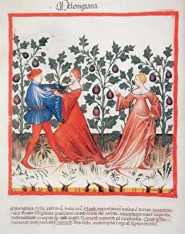 Handbook: Tacuinum Sanitatis. Late XIV century. Man attacking a woman