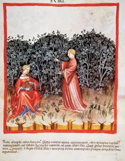 Pick: Tacuinum Sanitatis. Late XIV century. Women making a crown w