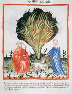 Handbook: Tacuinum Sanitatis. Late XIV century. Couple next to date pa