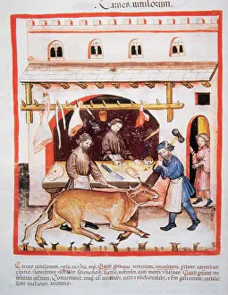 Handbook: Tacuinum Sanitatis. Late XIV century. Butchery