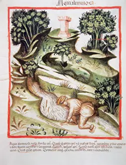Tacuinum: Tacuinum Sanitatis. A man drinks water from a river