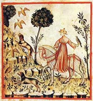 Canines: Tacuinum Sanitatis, Partridges