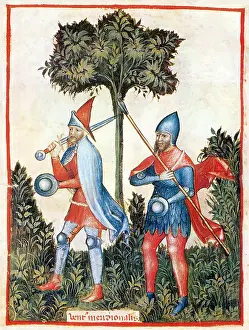Ideal: Tacuinum Sanitatis, Southerly Wind