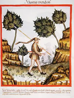 Handbook: Tacuinum Sanitatis.14th century. Medieval handbook of health