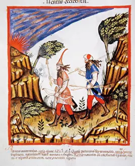 Spears: Tacuinum Sanitatis.14th century. Medieval handbook of health