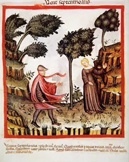 Handbook: Tacuinum Sanitatis.14th century. Medieval handbook of health