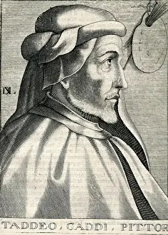 1290: Taddeo Gaddi
