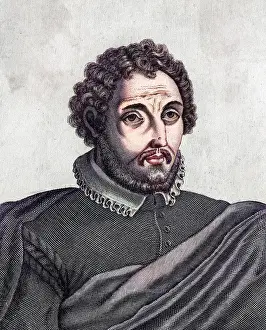 Taddeo: TADDEO ZUCCARO