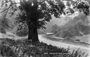 Derbyshire: Taddington Dale