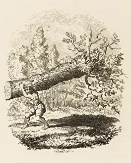 Grimm: TAILOR AND GIANT - 2