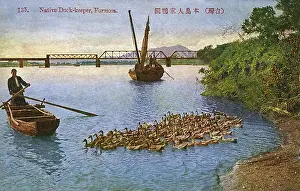 Sculling: Taiwan (Formosa) - Native Duck Keeper herding his flock