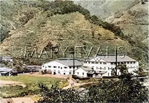 Formosan: TAIWAN TEA GARDENS