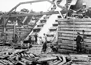 Logging: Taking logs from the river, Montmorency, Quebec, Canada