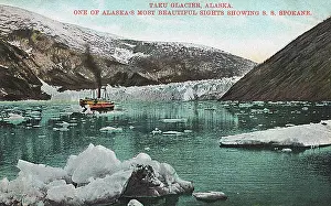 Taku: Taku Glacier, Alaska, USA