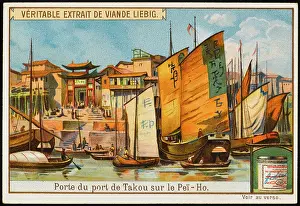 Taku: TAKU (LIEBIG)