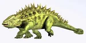 Ankylosaur: Talarurus dinosaur from the Cretaceous Period