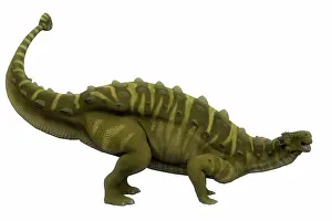 Talarurus: Talarurus dinosaur, side profile