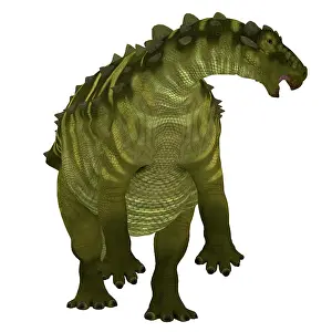 Ankylosaurus: Talarurus dinosaur rearing up on hind legs