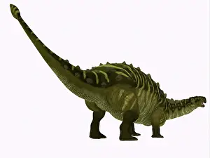 Spiked: Talarurus dinosaur on white background