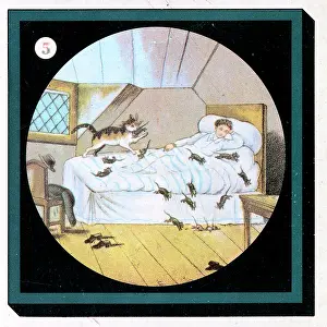 Floorboards: The Tale of Dick Whittington