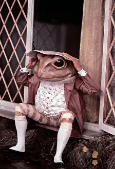 Beatrix: Tales Of Beatrix Potter