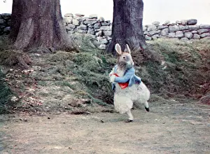 Beatrix: TALES OF BEATRIX POTTER