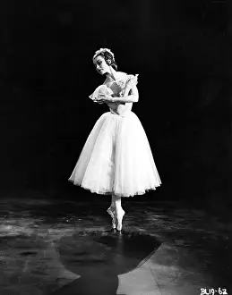 Stella: THE TALES OF HOFFMANN