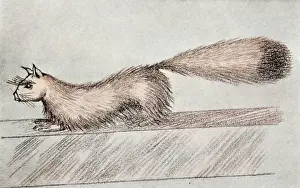 Mongoose: TALKING MONGOOSE GEF