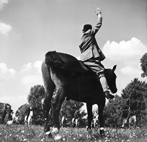 Jaunt: TALLY HO!