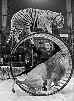 Zapashny: Tamer Valter Zapashny, 1984