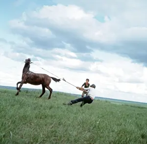 Taming: Taming of horse, 1983