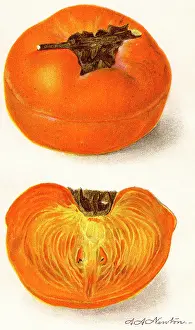 Sliced: Tamopan Persimmon - fruit - food