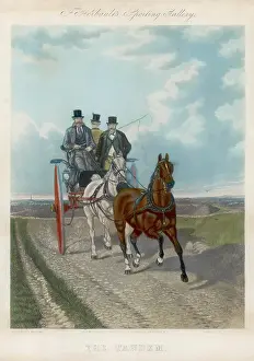 Tack: TANDEM CARRIAGE