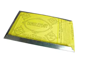 Repellent: Tanglefoot fly catching tray