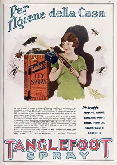 Insecticide: TANGLEFOOT INSECT SPRAY
