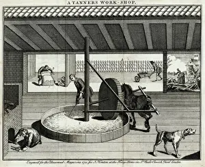 Tanner: Tanner's Workshop