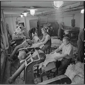 Capabilities: Tannery, tannery, fur softening