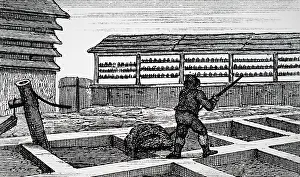 1823: Tanyards at Hexham