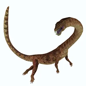 Plesiosaur: Tanystropheus dinosaur, side profile